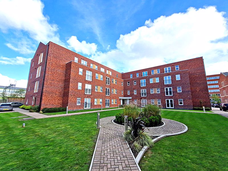 Main Image